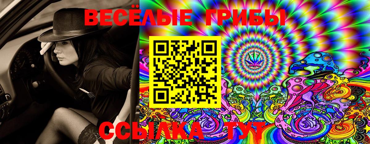 Ишимбай  Галлюциногенные грибы Psilocybe  Псилоцибиновые грибы Cubensis  Вход с VPN 